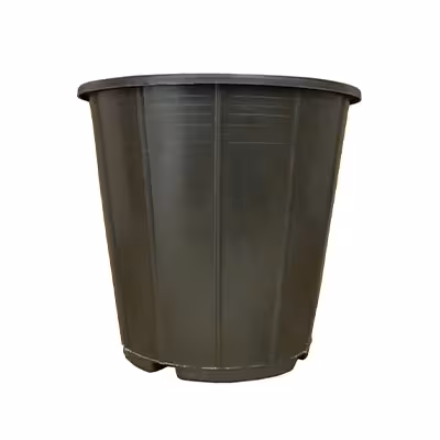 گلدان مشکی سطل 12