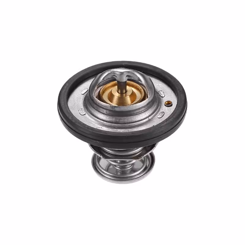 ترموستات کاپرا B دوکابین