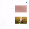 برچسب پوششی ماهوت مدل Horse-2 مناسب برای تبلت سامسونگ Galaxy Tab A 10.1 2019 T515