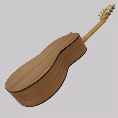 گیتار مدل C70