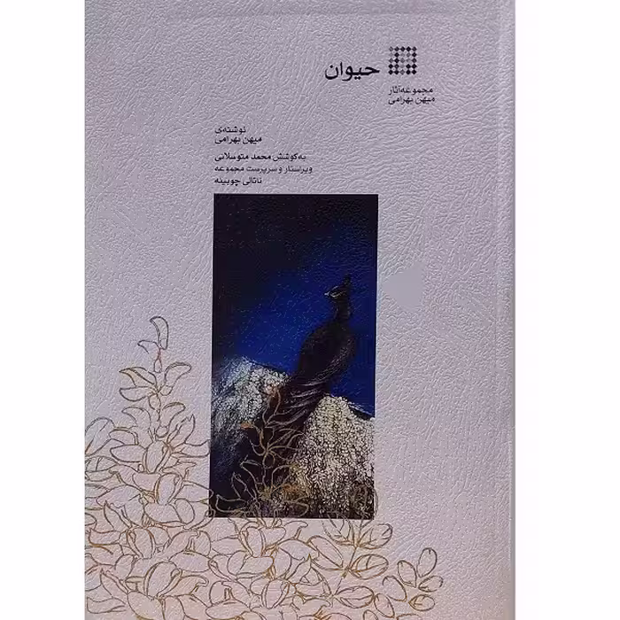 حیوان