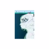 کتاب یخ پاره اثر آنا کاوان