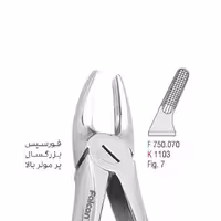 فورسپس بزرگسال پرمولر بالا - falcon