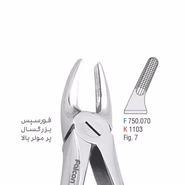فورسپس بزرگسال پرمولر بالا - falcon