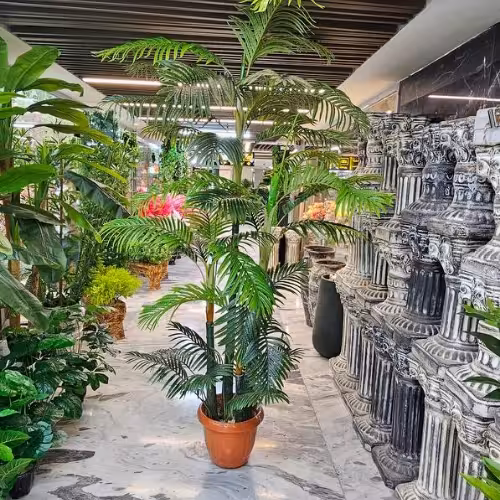 درختچه نخل کنتیا مصنوعی