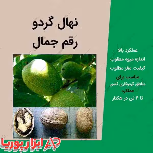 نهال گردو جمال