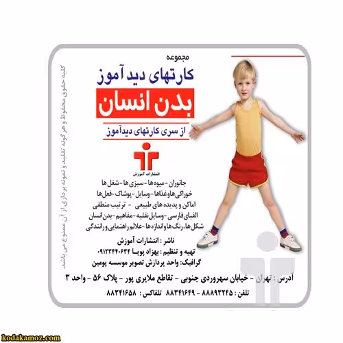 کارت دید آموز بدن انسان