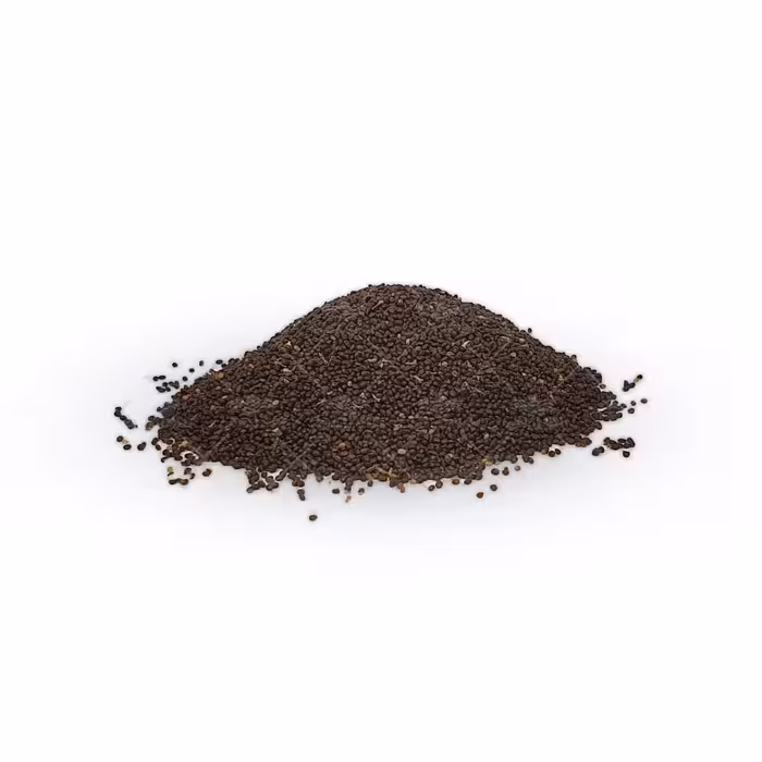 بذر سبزی  مرزه
