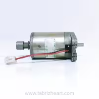 موتور بوهلر دی سی 24 ولت | Buhler Motor DC 24V