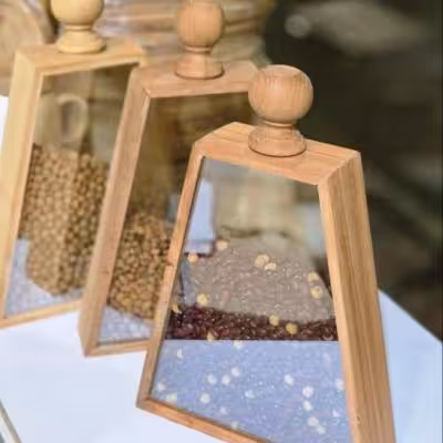 جاحبوباتی مثلثی بزرگ