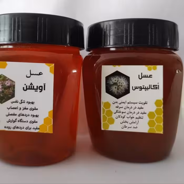 بسته صبحانه سلامتی اقتصادی (عسل  انواع کره ) طبیعی