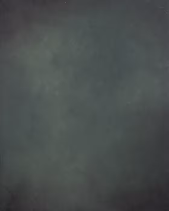 بک دراپ چوبی کد 208 (در 2 سایز)