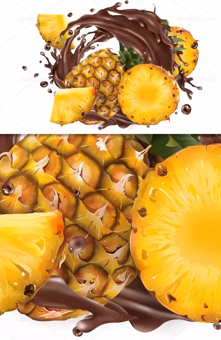 وکتور اسپلش آناناس و کاکائو | گرافیک با طعم تربچه