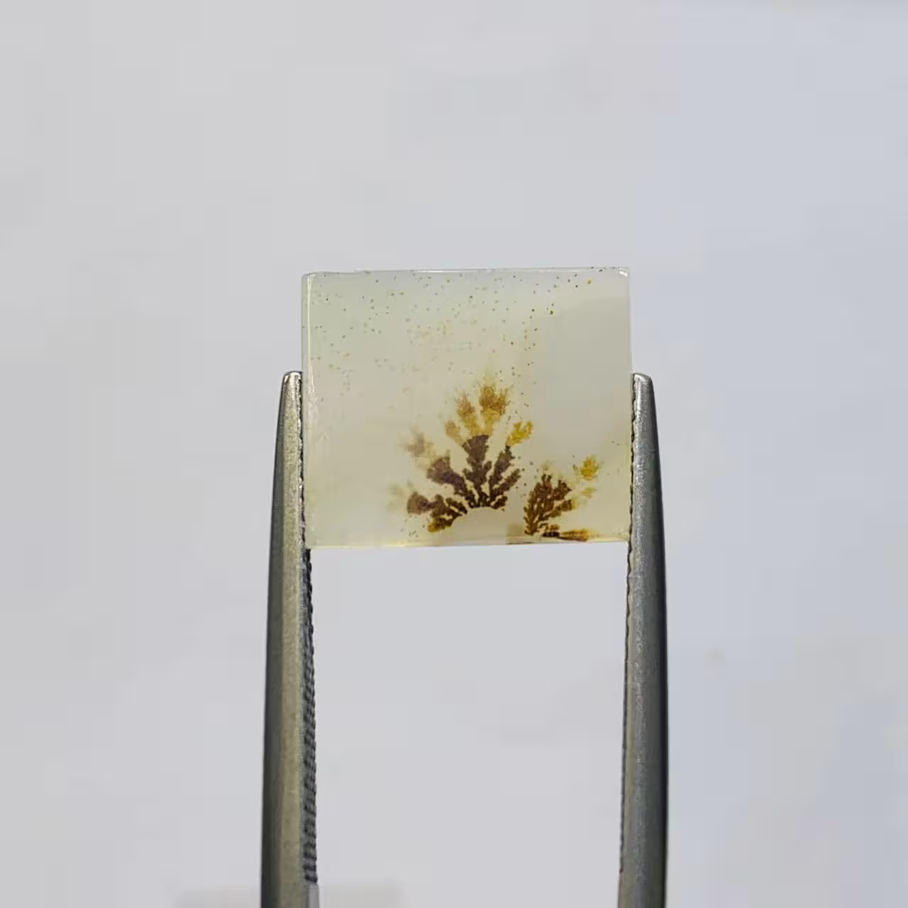 نگین شجر طبیعی هندوستان سایز 14*12 تراش مستطیلی