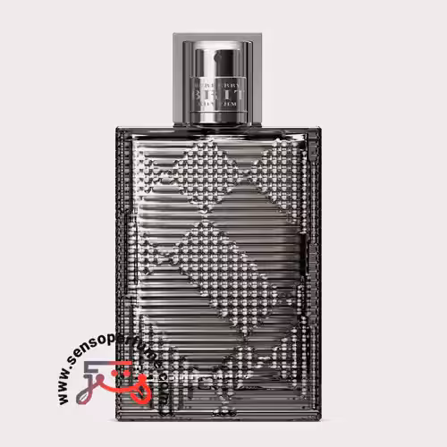 عطر ادکلن باربری بریت ریتم مردانه | burberry brit rhythm