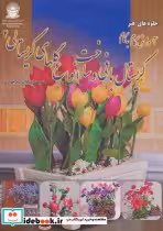 خرید کتاب کریستال بافی و ساخت انواع گلهای کریستالی 2 | ایده بوک