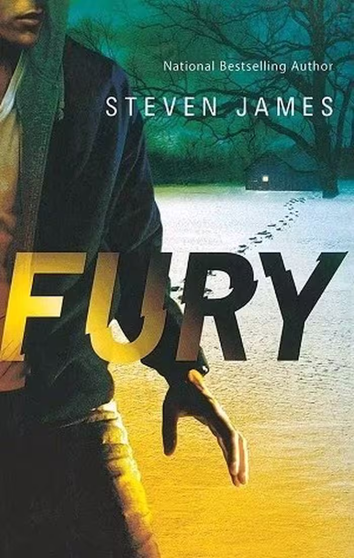کتاب Fury - Blur Trilogy 2 ژانر فانتزی انتشارات جنگل
