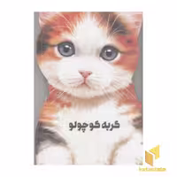 کتاب گربه کوچولو(مقوایی-رحلی) اثر جیووانی کاویزل نشر کتاب های زنبور- گاج