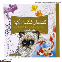 کتاب رنگ آمیزی بزرگسالان نقطه های شگفت انگیز