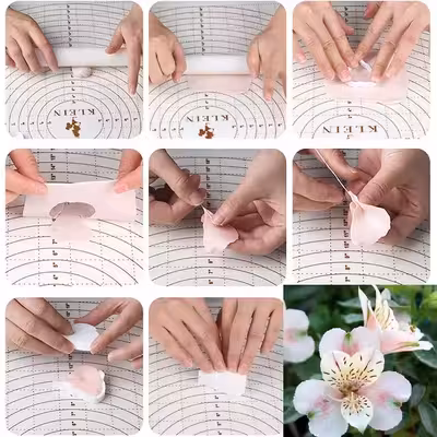 سیلیکون قالب گیری به گز مدل گل آلستر مجموعه 6 عددی