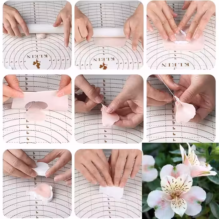 سیلیکون قالب گیری به گز مدل گل آلستر مجموعه 6 عددی