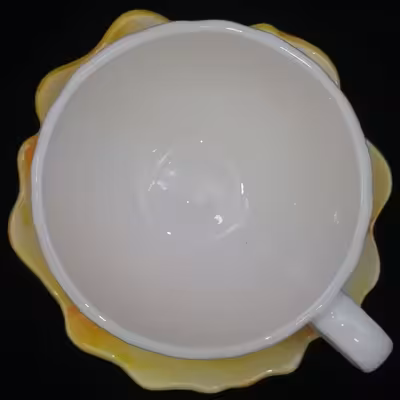  ست فنجان و نعلبکی سرامیکی هیوا مدل گل رز کد 10880984