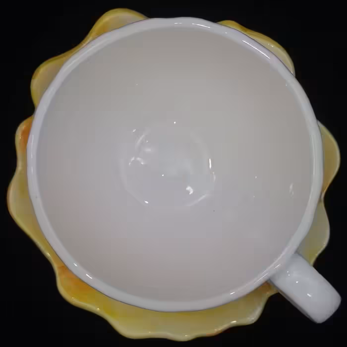  ست فنجان و نعلبکی سرامیکی هیوا مدل گل رز کد 10880984