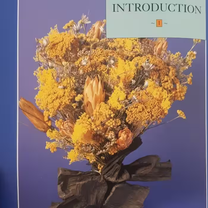كتاب CRAFTS FROM YOUR MICROWAVE اثر Alison Jenkins انتشارات NEW BURLINGTON