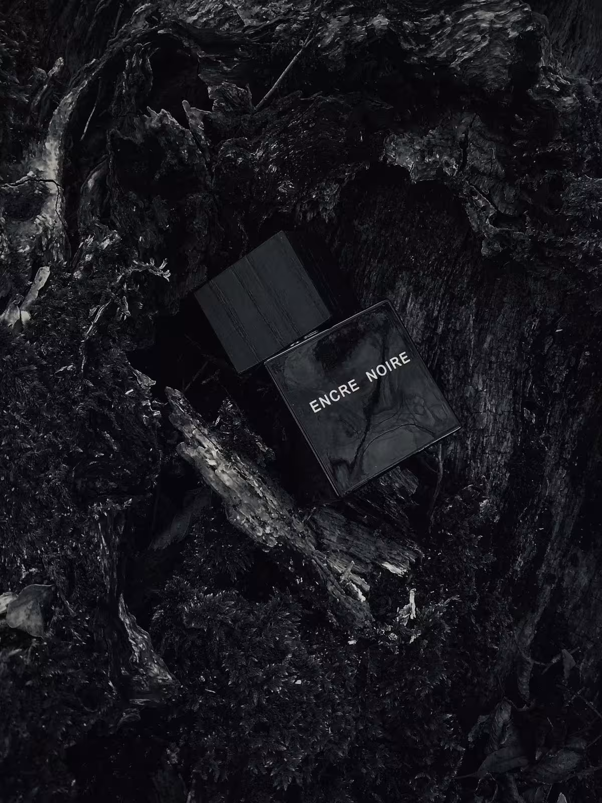 ادکلن لالیک مشکی انکر نویر اصل | Lalique Encre Noire 100 ml