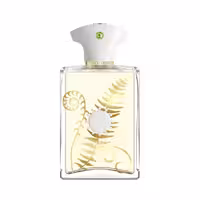 عطر آمواج براکن مردانه ادوپرفیوم 100 میل