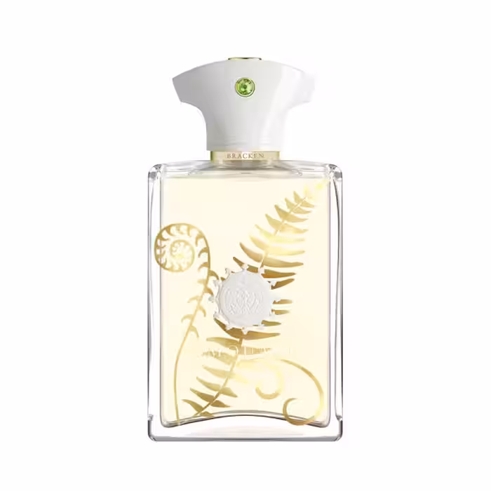 عطر آمواج براکن مردانه ادوپرفیوم 100 میل