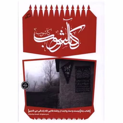 کتاب کآشوب اثر نفیسه مرشد زاده