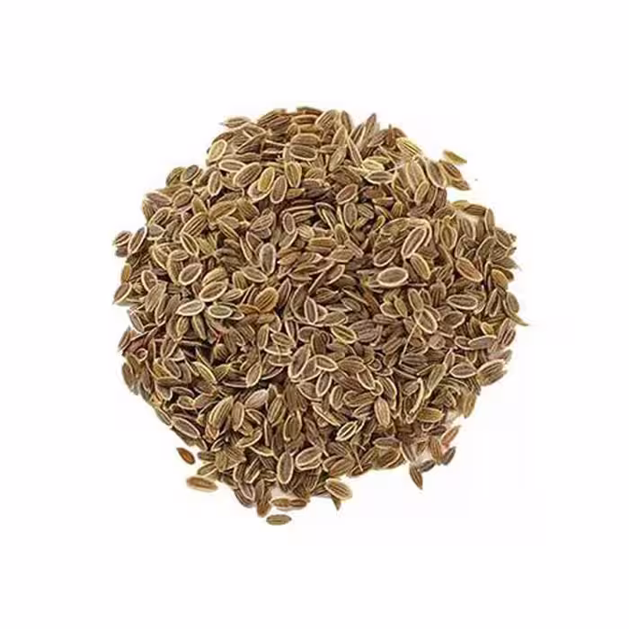 بذر شوید