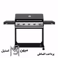 باربیکیو گازی افروزش مدل BGF_120