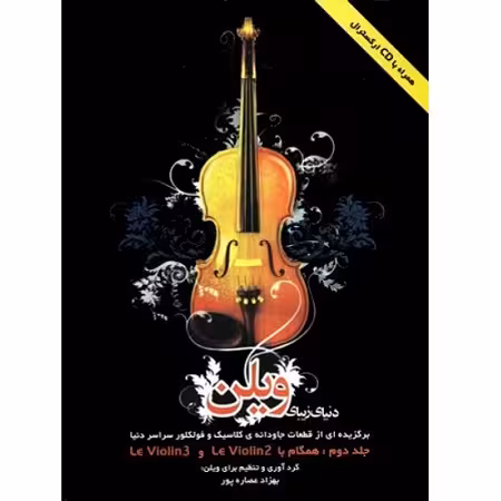 دنیای زیبای ویلن جلد دوم