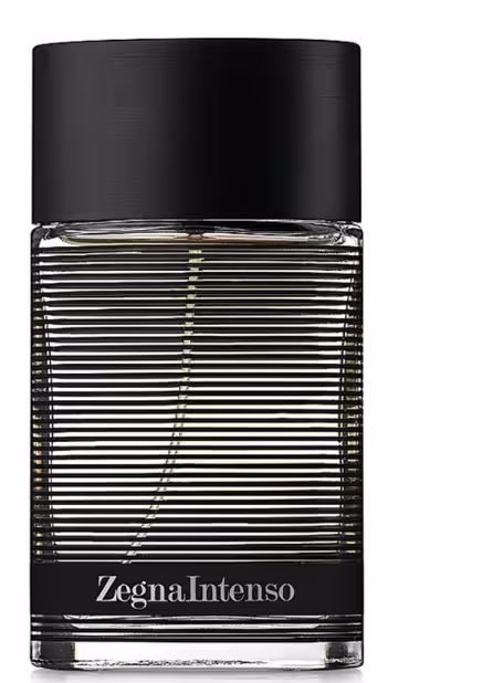 Zegna Intenso Ermenegildo Zegna/ارمنگیلدو زگنا زگنا اینتنسو