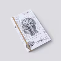 دفتر خط دار مغز سفید اروپایی دات نوت (dotnote)