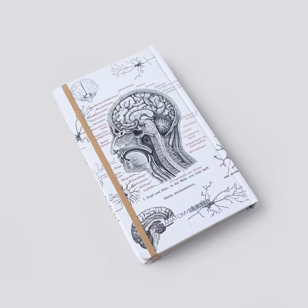 دفتر خط دار مغز سفید اروپایی دات نوت (dotnote)