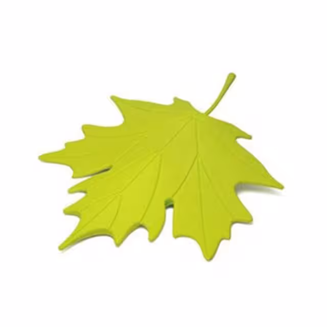 نگهدارنده درب مدل برگ