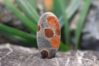 پینت وود ابسیدین