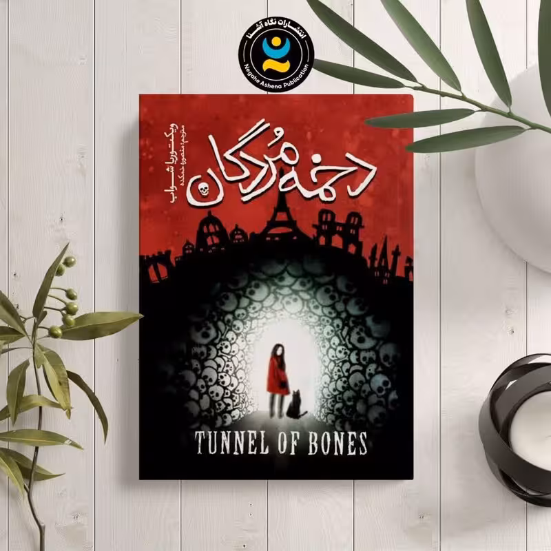 کتاب دخمه مردگان اثر ویکتوریا شوآب نشر نگاه آشنا جلد دوم شهر ارواح