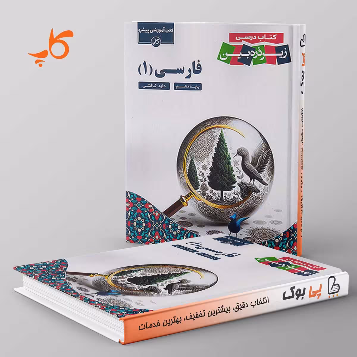 کتاب درسی زیر ذره بین فارسی دهم کاپ