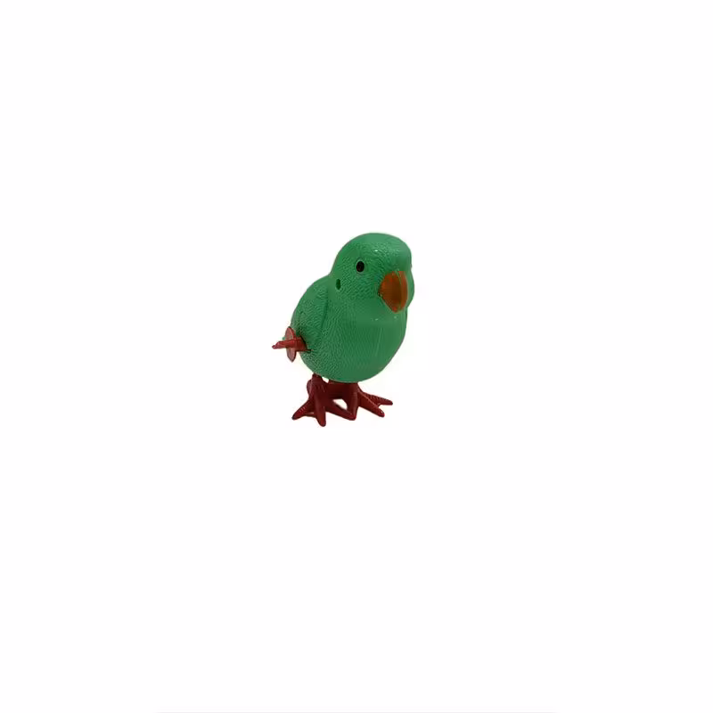 طوطی کوکی خارجی 1