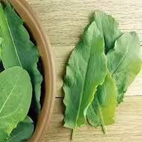 بذر ترشک محلی