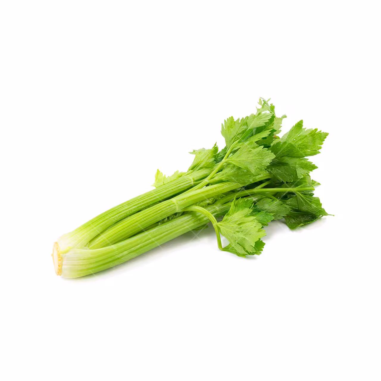 بذر کرفس خانگی
