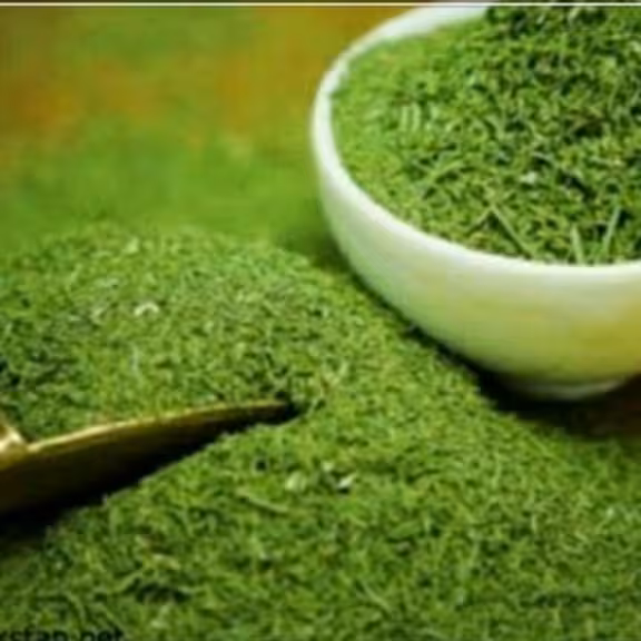 سبزی شوید خشک ممتاز فدک (100گرم)