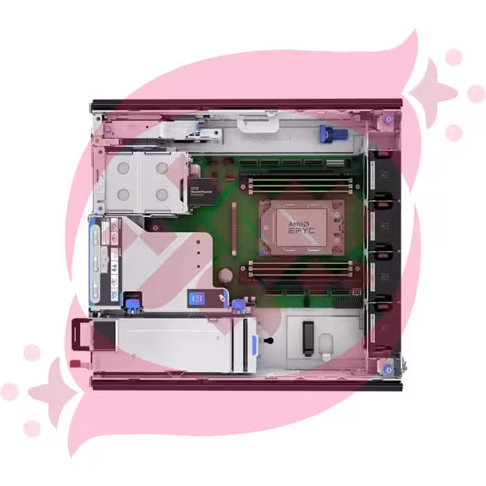 HPE DL145 G11 8024P 1P 1x32GB 2SFF NS204 NC BCM5719 2x700W PS P81564-D65