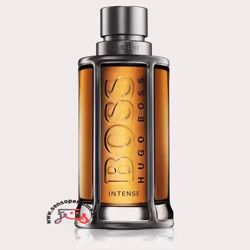 عطر ادکلن هوگو باس د سنت اینتنس | hugo boss the scent intense