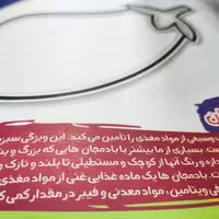 کتاب رنگ آمیزی آشنایی با سبزیجات اثر زهرا صالحی انتشارات لیدا