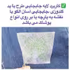 پد گلدوزی کد ENT